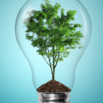 Eco-Friendly Revolution: Exploring Top-Tier Renewable Energy Solutions in 2024