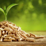 Diverse Renewable Energy Sources: Exploring Biomass, Geothermal, and More